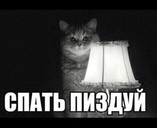 Почему 80% разводов в России инициировано женщинами