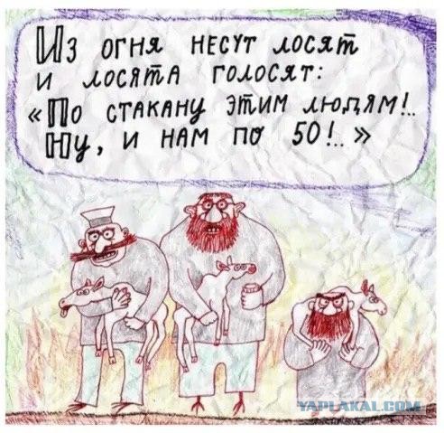 Дурацкие картинки