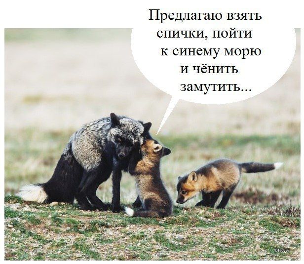 Аватарки мужиков за 40