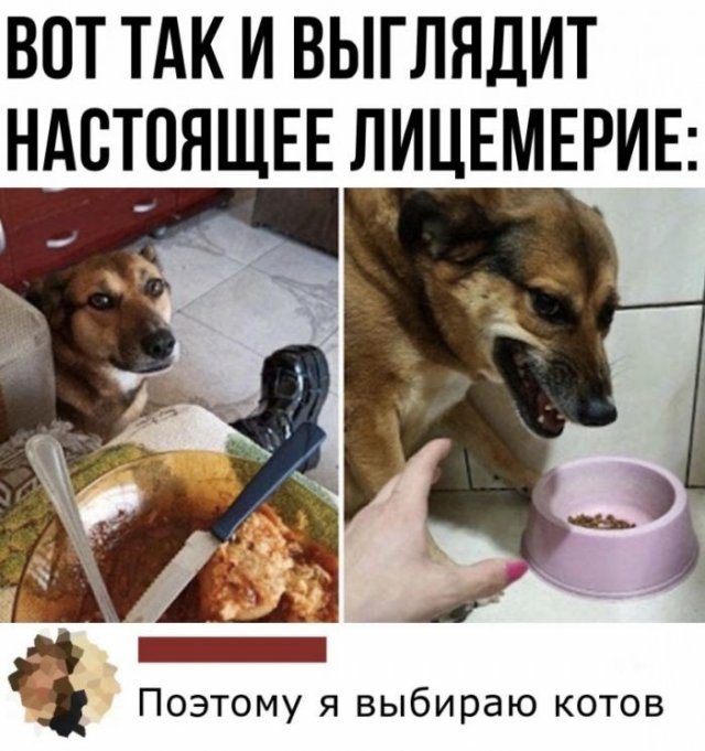 Так себе картинки 01.05.22