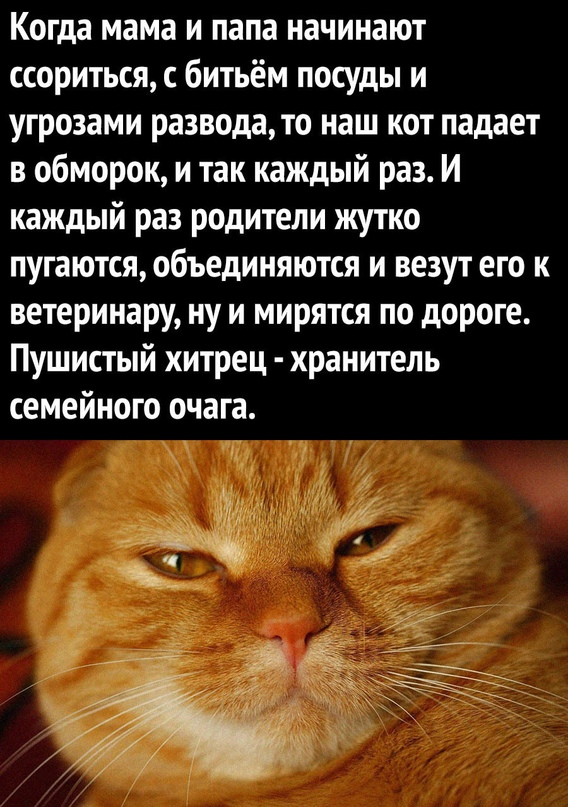 Картинки и мемы для настроения  - 31