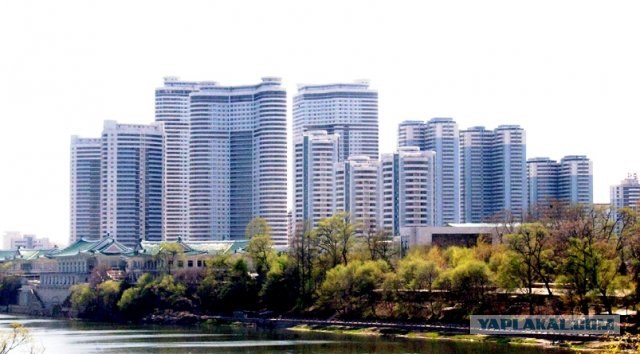 Северная Корея "в цвете"