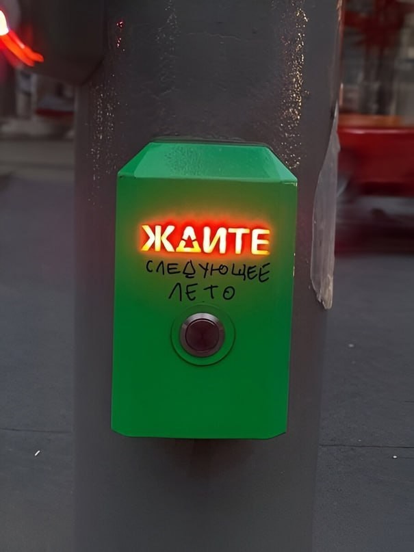 18383665.jpg