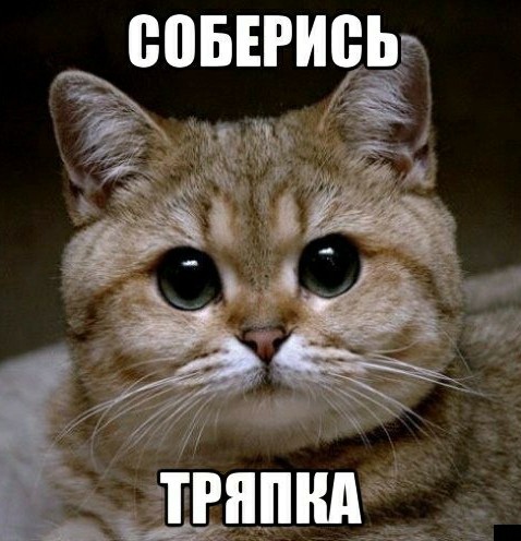 Мудак ли я?