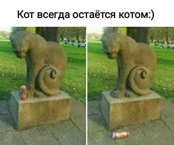 К котовторнику: подборка картинок-баянов с котиками и про котиков. Выпуск 5