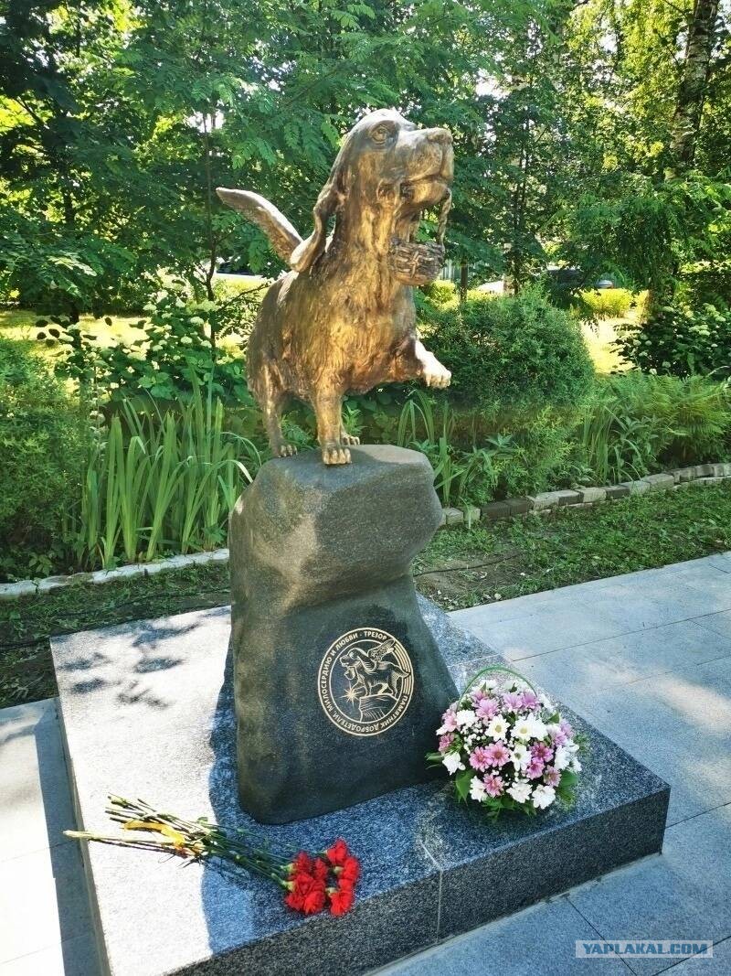 В память о Трезоре