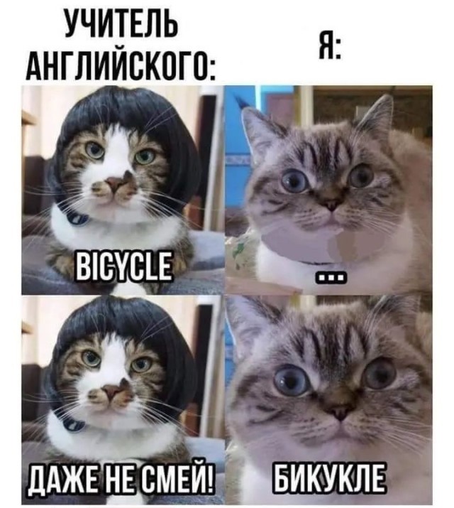 Картинки для деградации 18 (разной степени свежести)