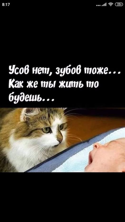 Потная гамсахурдия №2 - веселые картинки