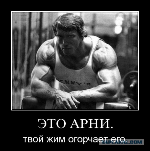 I`ll be back!