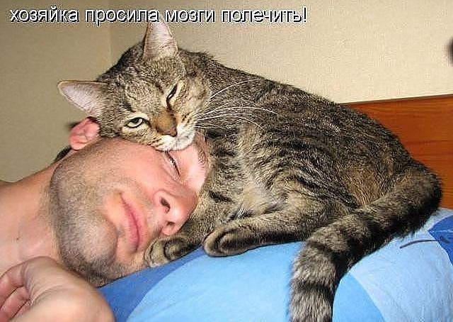 Как меня жена ребенком будила