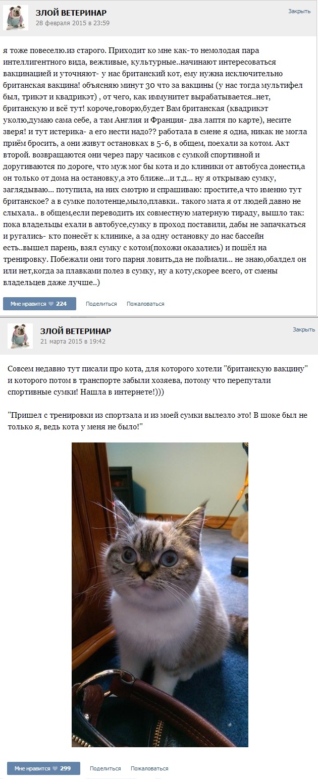 Истории от ветеринаров 4