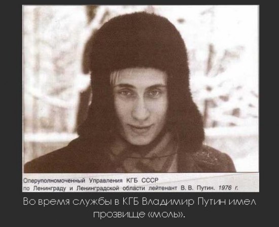 Собчак А.А. и его перспективный носильщик.