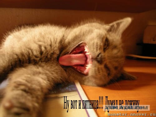 Пятница 07.08.15