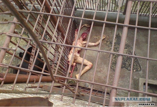 "...я вас сожру."