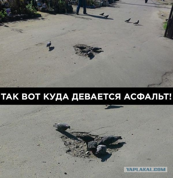 Картинки из сети