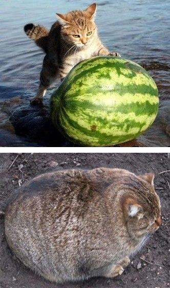 Набрал чутка