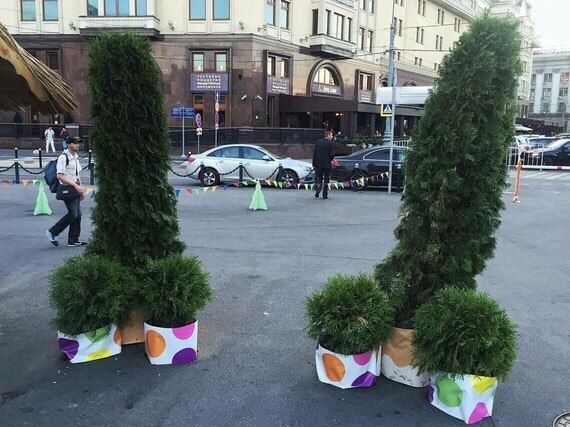 Картинки и приколы из сети