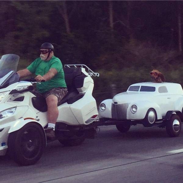 Картинки и приколы из сети