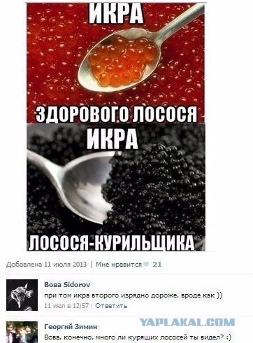 Ужасы и приколы из соцсетей 18+