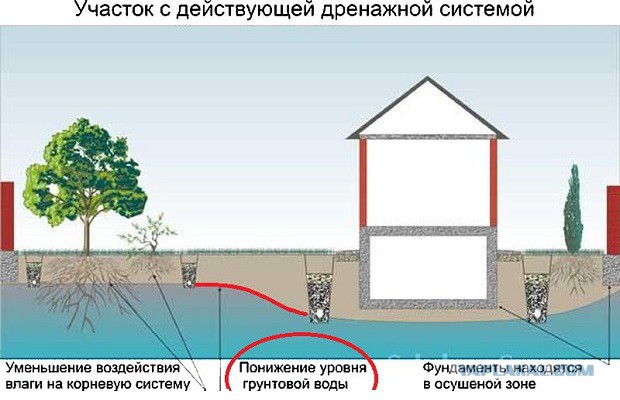 Строю дом сам и для себя (М.О.)