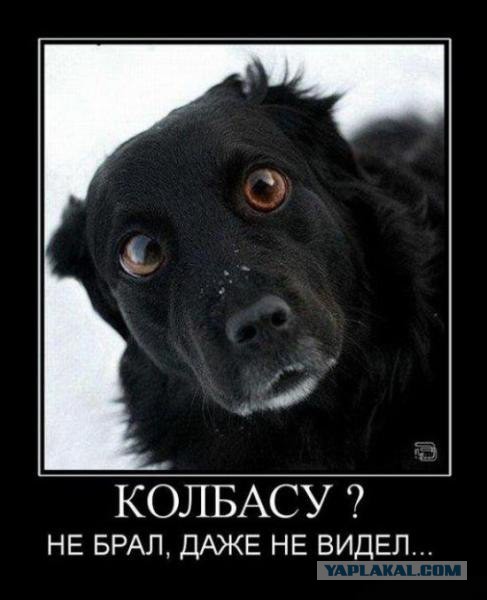 Люди, вы опять за своё?