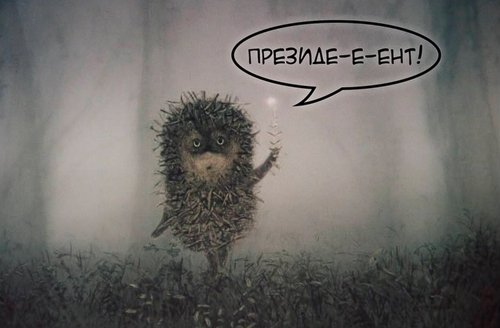 Ксения Собчак объявила об участии в президентских выборах 2018 года