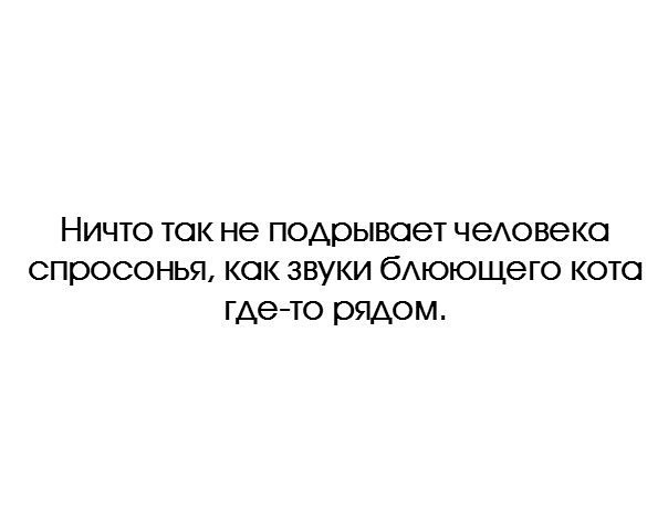 Забавные шутки, фразы и комментарии из этих ваших интернетов