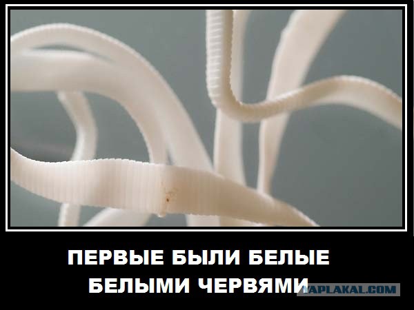 Гены светлой кожи оказались древнее генов тёмной кожи