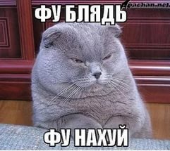 Роскошная жизнь. За чей счёт?