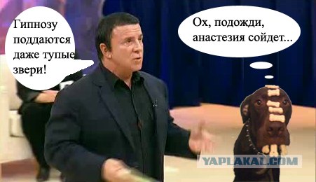 Сила воли