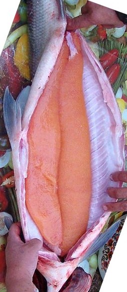 Колымские деликатесы