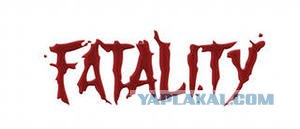 КотЭ-каратЭ!