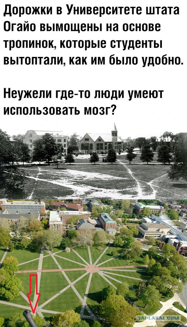 Немного картинок для настроения