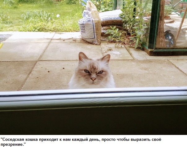 Чуток картинок 08.11.19