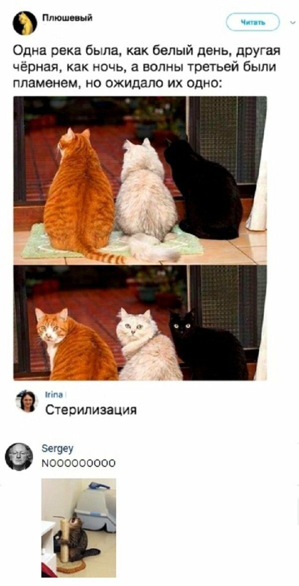 Бредзона картиночная