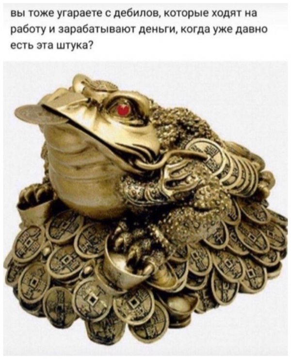 Бредзона 06.02.2020