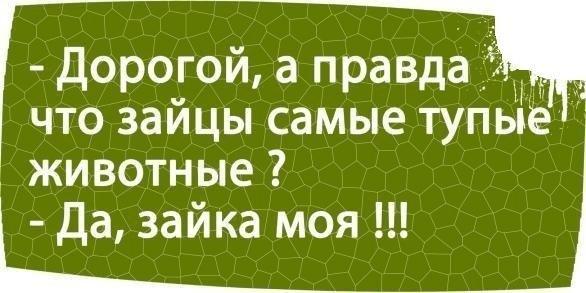 Чуток картинок 21.04.20