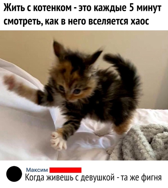 Немного картинок для настроения 115