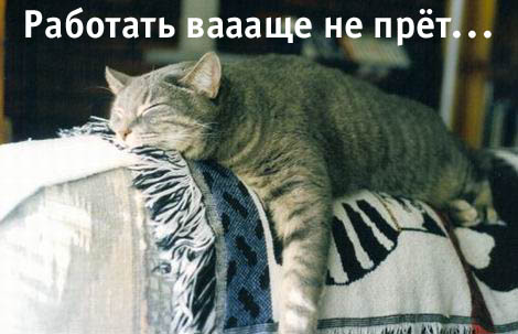 17 прикольных заставок для рабочего стола