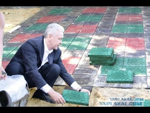 Началась война в Западной Сахаре