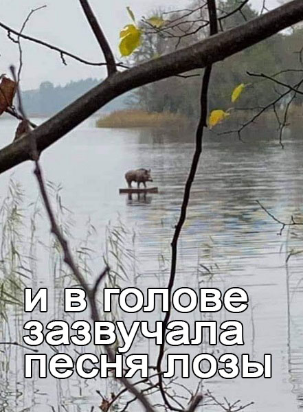 С миру по нитке 27.11