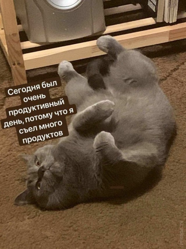 Картинки и мемы для настроения 008
