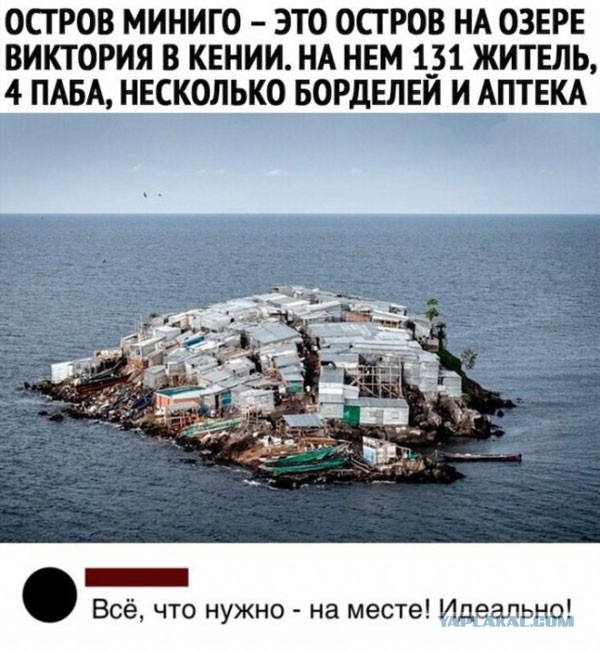 Весёлый полтишок 8.03