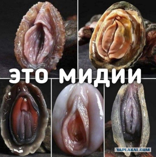 Природа чудит
