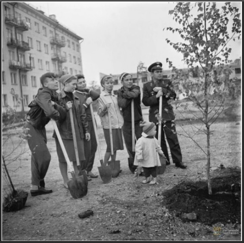 Легендарное Мурино - каменные джунгли под Питером. К чему приводит непомерная жадность застройщиков