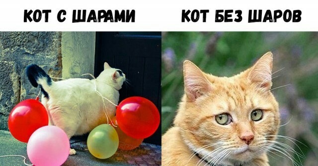 Забавные шутки, картинки и фразы из этих ваших интернетов 20.07.2021