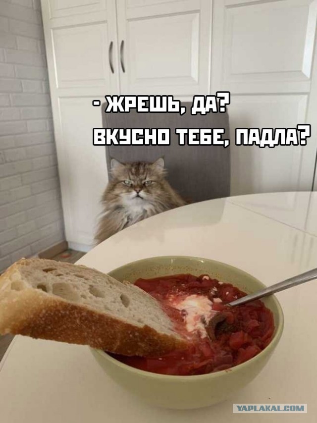 Картинки и мемы для настроения 029