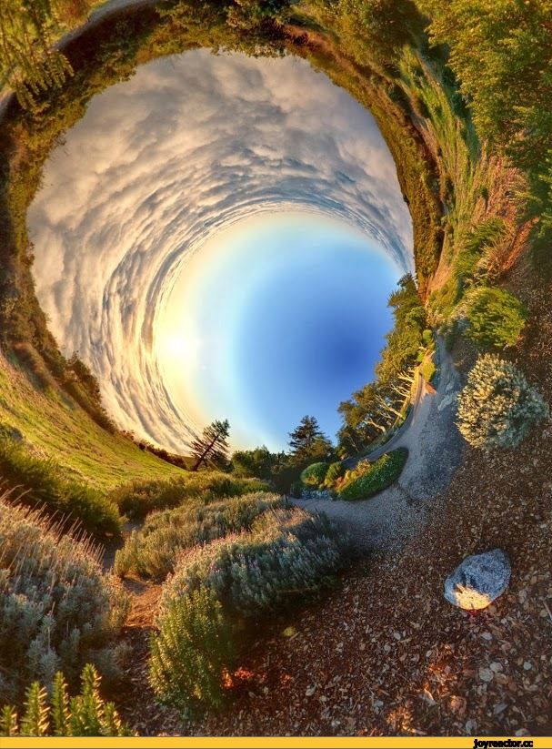 Упоротый Джа-дзен-пост