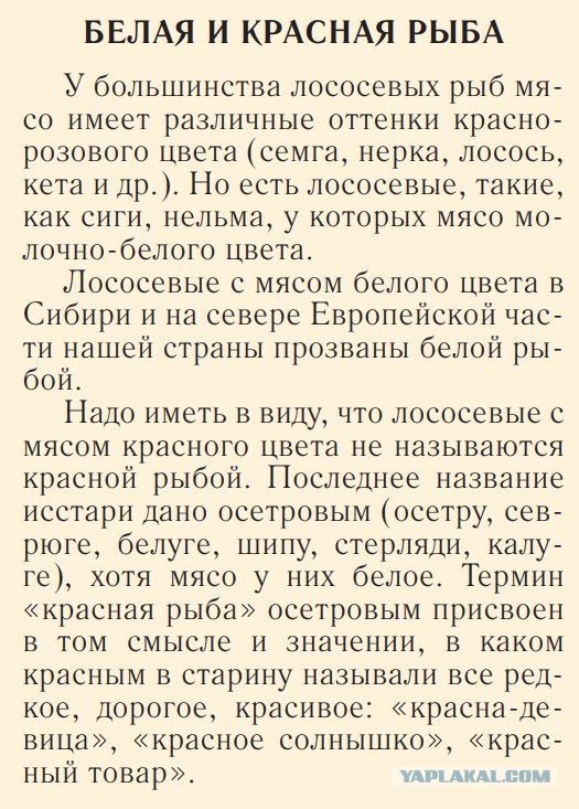 Кулинарная общалка