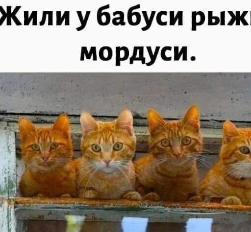 Юмор и прикольные картинки 26.10.2021